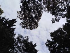 -羊山湖公园
