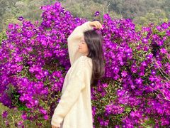 -南国桃园旅游度假区