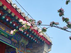 -佑胜教寺