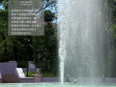 -九龙公园
