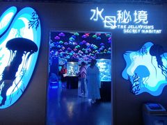 -洛阳龙门海洋馆