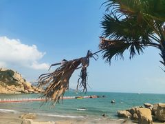-那琴半岛地质海洋公园