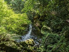 -波尔登森林公园