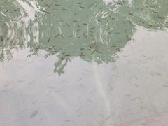 -咸宁万豪温泉谷度假区