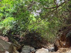 -梧桐山风景名胜区