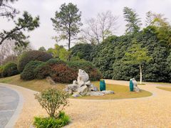 -菊花台公园