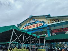 -海合安成都极地海洋公园