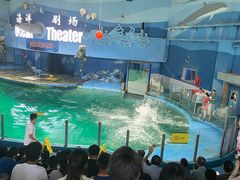 -苏州海洋馆