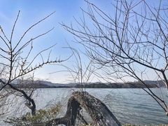 -浙江西子宾馆·瑶园咖啡厅