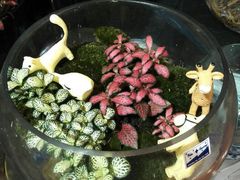 android_upload_pic-双季花艺园艺市场(浦东店)
