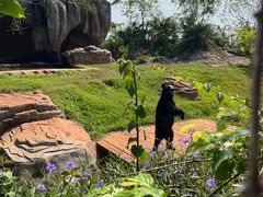 -海南热带野生动植物园