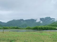 -大九湖