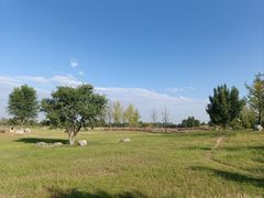 -汉长安城未央宫国家考古遗址公园