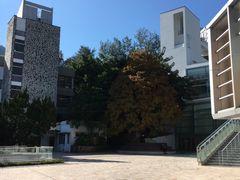 -大埔公路-马料水段香港中文大学(公交站)