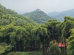 -莫干山风景区