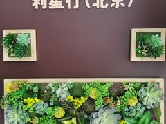 -奔驰利星行(北京花乡店)