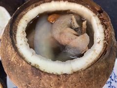 原只椰子炖鹌鹑-達揚原味燉品(文明路店)