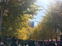 -辽宁大学(崇山校区)