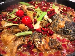 -老板恋上鱼(高新万达店)