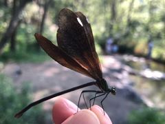 -碓臼峪自然风景区