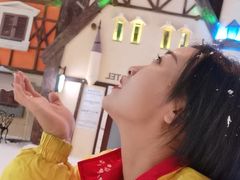 -世界之窗阿尔卑斯冰雪世界