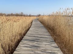 -野鸭湖国家湿地公园