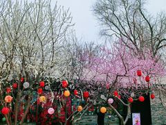 -春风习习
