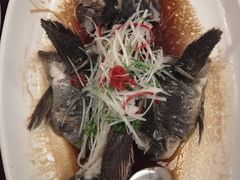 -船歌·鱼水饺青岛菜(闽江二路店)