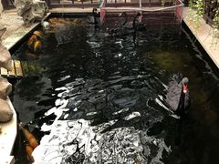 -湖鲜楼