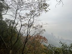 -南山植物园