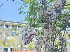 -上海海洋大学(临港校区)