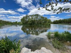 -大兴滨河森林公园