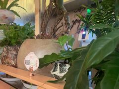 -桂满陇·手作小笼包&江南叫花鸡(中山公园店)