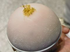 -陕拾叁-西安糕点(北院门创始店)