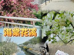 -海棠花溪(元大都城垣遗址公园)