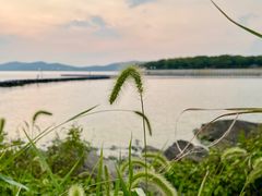 -上海市保健医疗中心