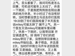 -瑞鹏宠物医院·微创内窥镜·骨外科·牙科(翠竹分院)
