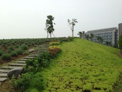 iphone_upload_pic-洪湖悦兮半岛国际温泉度假村