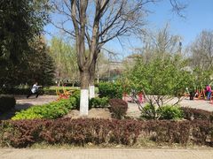 -莲花池公园