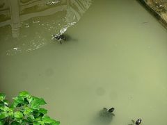 -句容茅山景区
