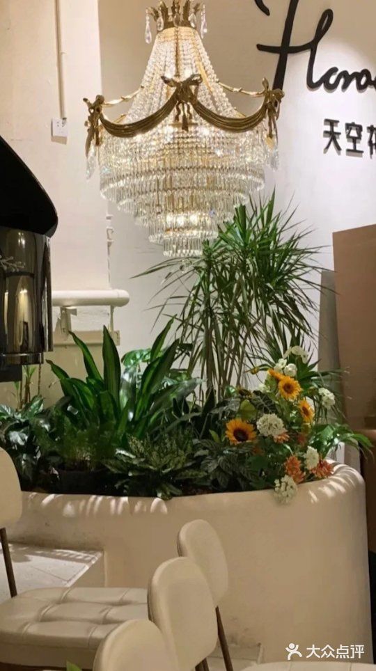 在中山拍到了人生照片✌️