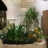 在中山拍到了人生照片✌️