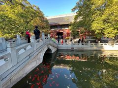 -香山公园