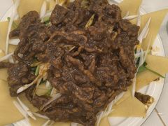 -东北饺子馆(马尾君竹店)