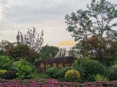 -新江湾城公园