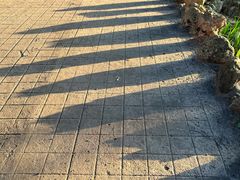 -叶家花园