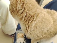 -平行世界·猫咖(首经贸店)