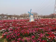 -盈香心动乐园