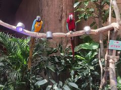 -杭州开元森泊度假乐园