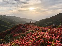 -大围山国家森林公园
